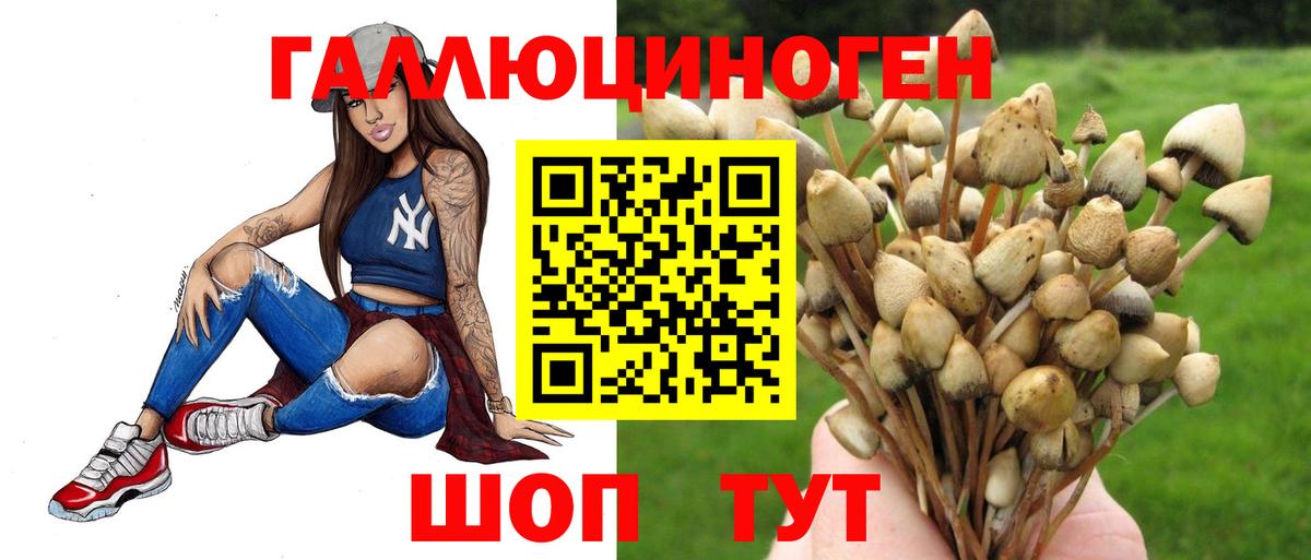 Родники  Псилоцибиновые грибы GOLDEN TEACHER  Вход с VPN 